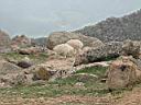 032_Mt_Evans.jpg